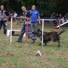 foire-haricots 2011-09-17et18